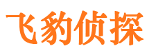 内丘婚外情调查取证